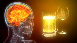 How Alcohol Affects the Brain